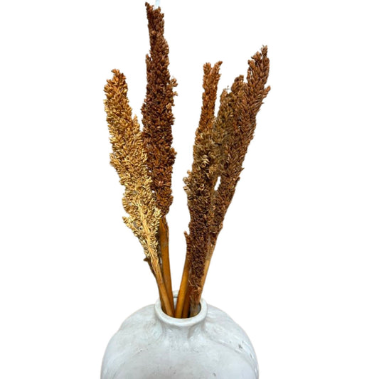Bouquet d'herbes du Cantal - Rouille