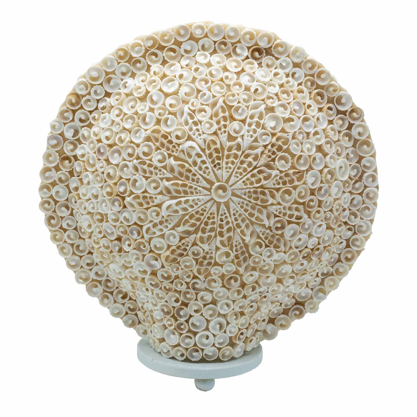 Lampe coquillage Boho - Grand coquillage rond - 30 cm